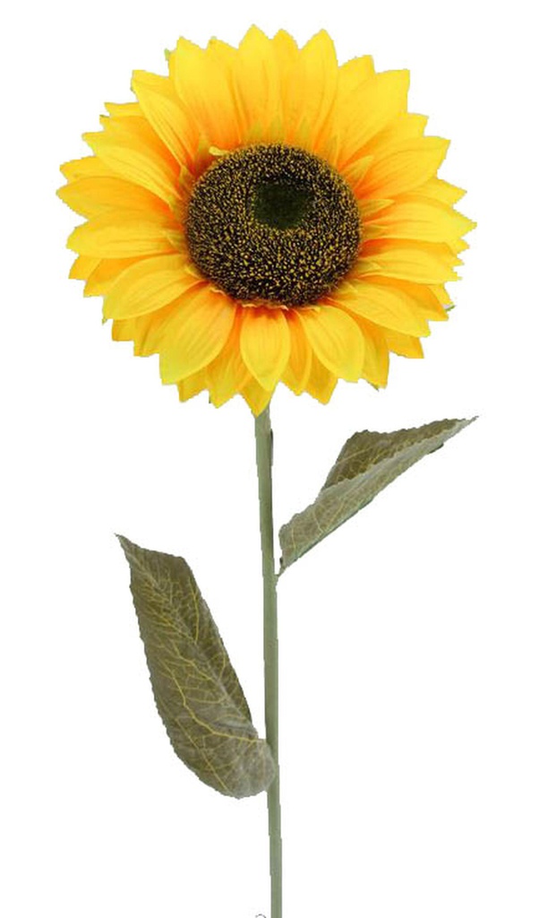 25cm Sunflower w. 2 leaves 100cm Stem (12 pc/ctn)