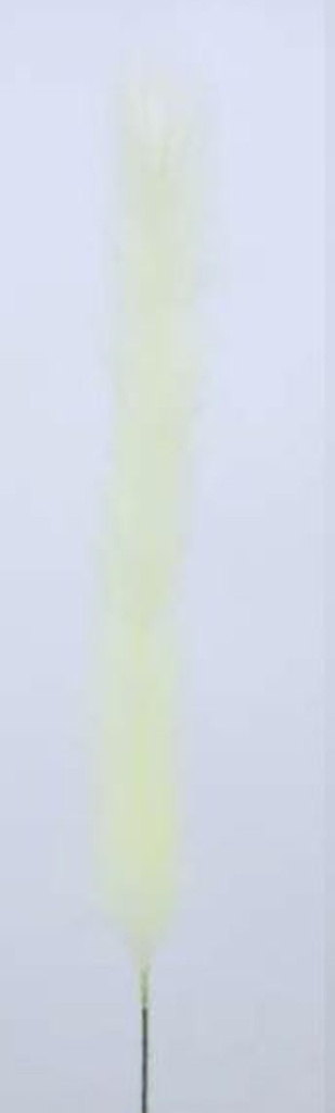 Pampas Flower, Large, 60cm/112cm  (72 pc/ctn)