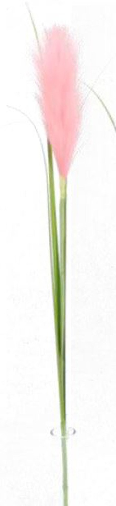Pampas Flower w. 3 leaves, 20cm/76cm (96 pc/ctn)