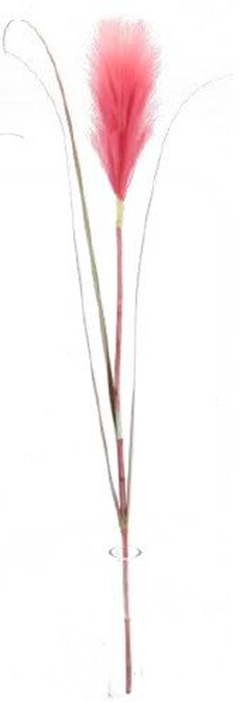 Pampas Flower w. 3 leaves, 20cm/76cm (96 pc/ctn)
