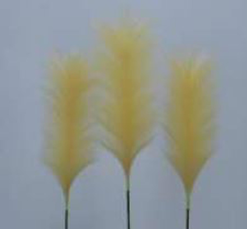Pampas Flower, 25cm/60cm (96 pc/ctn)