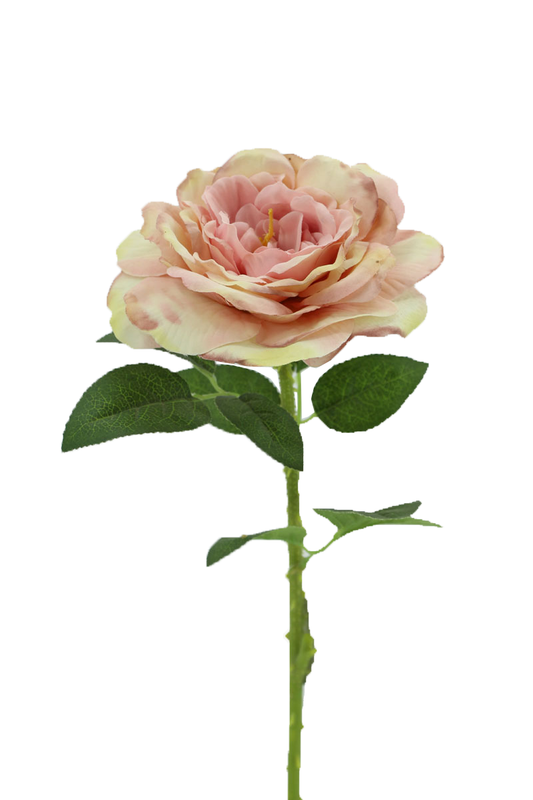 Big Rose with 48cm Stem, Pink-Yellow (240 pc/ctn)