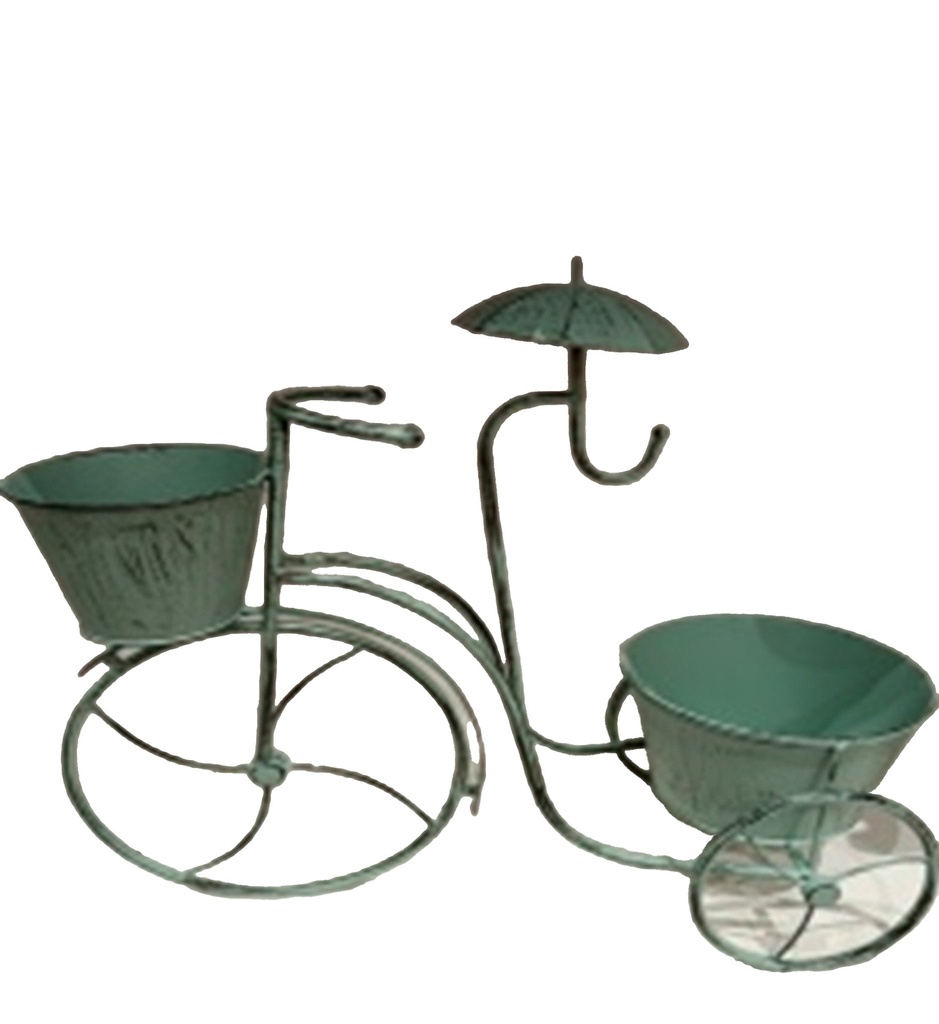 Iron Tricycle