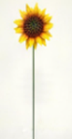 Metal Sunflower Garden Stake 10x8x57cm (12 pc/ctn)