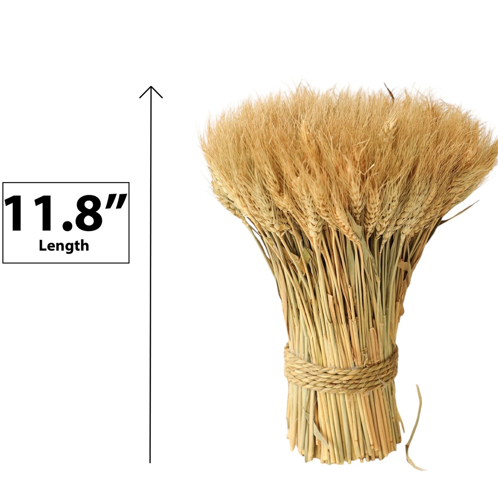 Wheat bouquet,30cm,Natural color (18 pc/ctn)