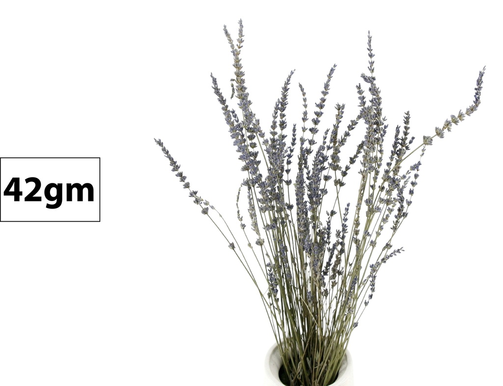 Lavender Branch,42gm (48 pc/ctn)