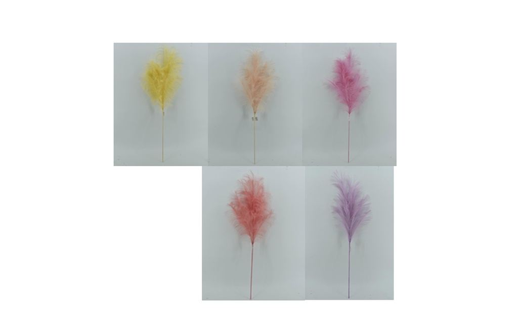 38" Pampas Stem,5 Colors Assorted (250 pc/ctn)