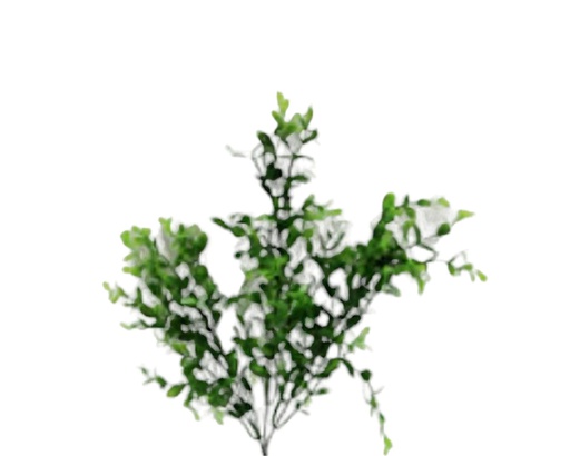 [FL8000] Willow Leave Branch (300 pc/ctn)