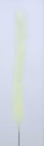[FL8100-CR] Pampas Flower, Large, 60cm/112cm  (72 pc/ctn)