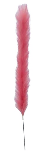 [FL8100-PP] Pampas Flower, Large, 60cm/112cm  (72 pc/ctn)