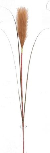 [FL8105-BR] Pampas Flower w. 3 leaves, 20cm/76cm (96 pc/ctn)