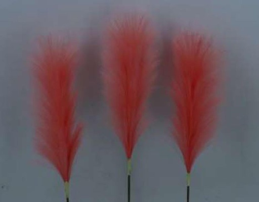 [FL8107-CR] Pampas Flower, 25cm/60cm (96 pc/ctn)