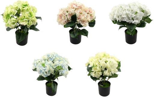 [FL6571] 5 Head 12cm Hydrangea Bouquet, Potted Flower,41cmH(6 pot/ctn)