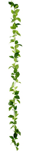 [FL8521] 170cm Eucalyptus Garland (240 pc/ctn)