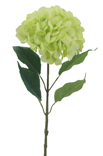 [FL6501] 68cm Hydrangea, dia 22cm,  4 Leaves (240 pc/ctn)