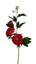 Tearose with 3 heads stem 90 cm, Red (240 pc/ctn)
