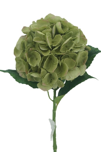 [FL6511-DR] 54cm Hydreagea, Dark Green (288 pc/ctn)