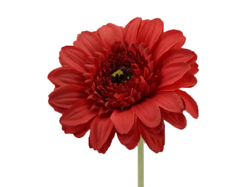 [FL6901-RD] Big Gerbera with 56cm stem, Red (720 pc/ctn)