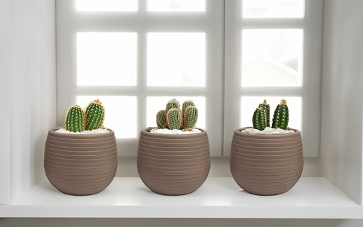[FL0140BR] 3 pc 0.13LT Flower Pot, Mocha (12 set/ctn)