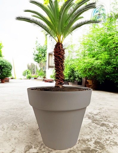 [FL0156BR] 76LT Flower Pot, Mocha (48 pc/bag)