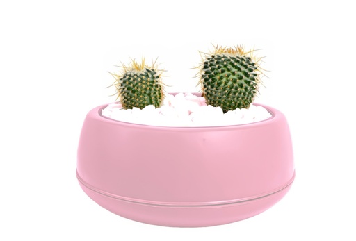 [FL0142PK] 2LT Arrangement Flower Pot, Rose Pink (20 pc/ctn)