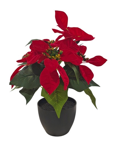 [CPGC-0328] H17"(45cm) Artificial Red Velvet Christmas Poinsettia Plant in Nursery Pot