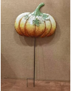[CPGC-0366] pumpkin
