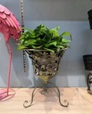 Iron flowerpot