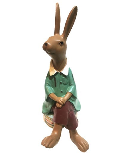 [CPGC-0378] Rabbit cat