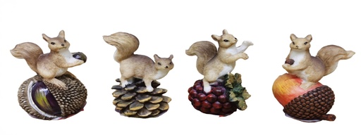 [CPGC-0431] Mixed Small status