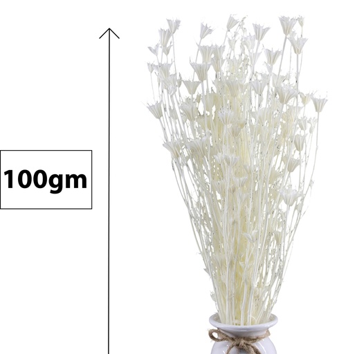 [FL9201] Achillea Bundle, 100gm (24 pc/ctn)