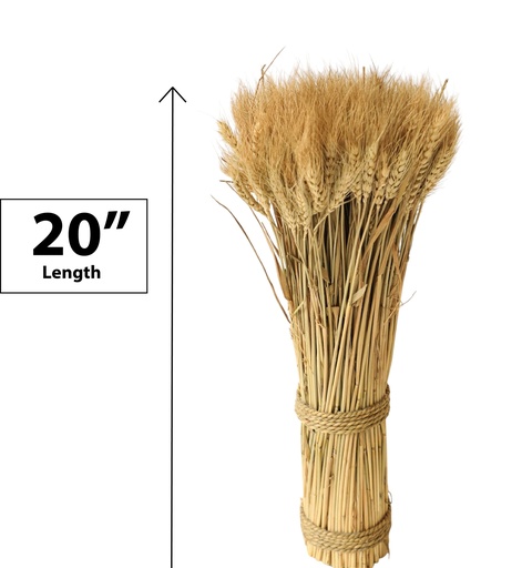 [FL9100] Wheat Bouquet, 50cm, Natual Color (18 pc/ctn)