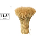 Wheat bouquet,30cm,Natural color (18 pc/ctn)