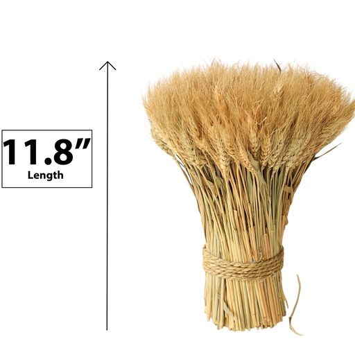 [FL9101] Wheat bouquet,30cm,Natural color (18 pc/ctn)
