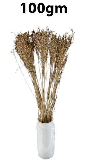 [FL9105] Lino Grass bundle, 100gm (30 pc/ctn)