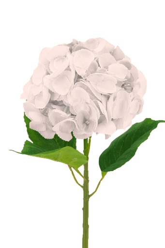 [FL66266] Hydrangea 18cm dia, 65cm long (288 pc/ctn)