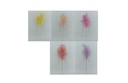 38" Pampas Stem,5 Colors Assorted (250 pc/ctn)