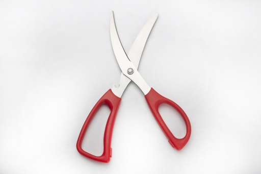 [205500] Stainless Steel Scissors, 10"(25x9.2cmx2.5mm) (144 pc/ctn)