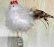 [HD10604] Feather Chicken on a Stick, 12x8cm (288 pcs/ctn)