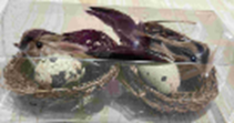 [HD10607] Quail Eggs and Birds in a Nest, 7cm (192 pcs/ctn)
