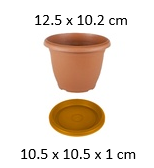 [FL0011BR] 0.6LT Villa Flower Pot with Tray, 125X102mm (120 pc/ctn)