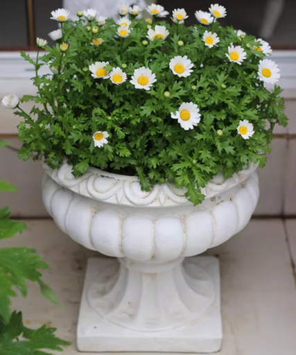 [CPGC-S2003] Metal Vintage Flower Pot, 31x31x29cm (1 pc/ctn)